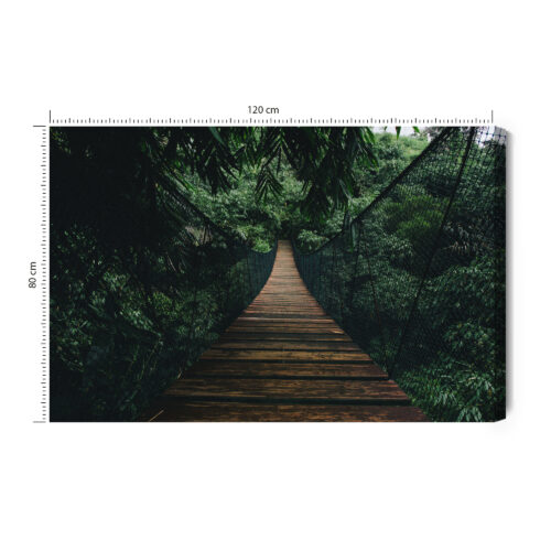 Obraz na płótnie Most w dżungli Fotografia leśna Perspektywa  Premium Canvas