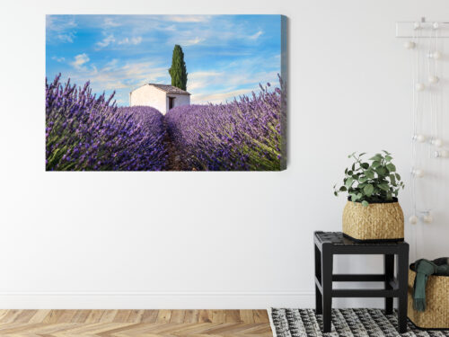 Obraz na płótnie Natura Lawenda domek  Premium Canvas - obrazek 8