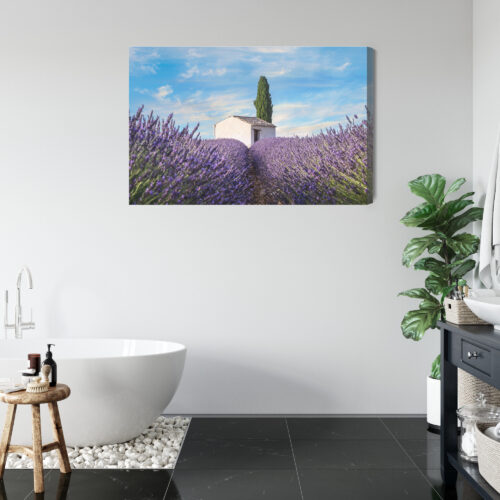 Obraz na płótnie Natura Lawenda domek  Premium Canvas - obrazek 5