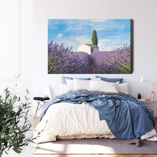 Obraz na płótnie Natura Lawenda domek  Premium Canvas - obrazek 3