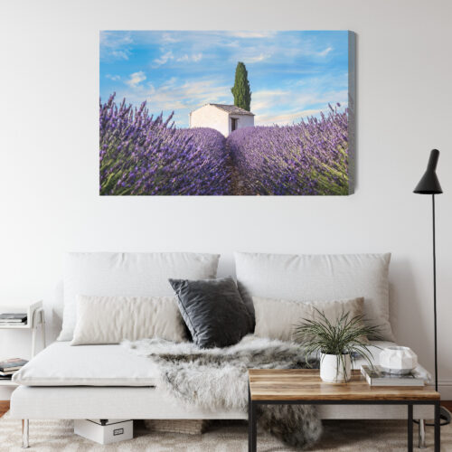 Obraz na płótnie Natura Lawenda domek  Premium Canvas - obrazek 4