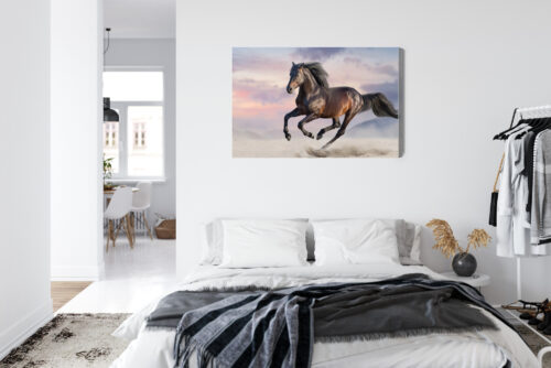 Obraz na płótnie Zwierzęta Fotografia Koń galop  Premium Canvas - obrazek 7