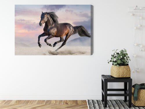 Obraz na płótnie Zwierzęta Fotografia Koń galop  Premium Canvas - obrazek 8