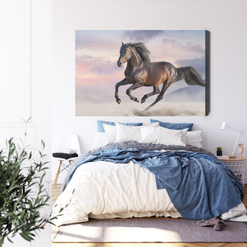 Obraz na płótnie Zwierzęta Fotografia Koń galop  Premium Canvas - obrazek 3