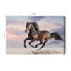 Obraz na płótnie Zwierzęta Fotografia Koń galop  Premium Canvas