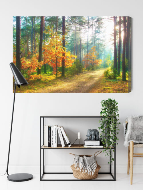 Obraz na płótnie Natura Fotografia Las jesienny  Premium Canvas - obrazek 9