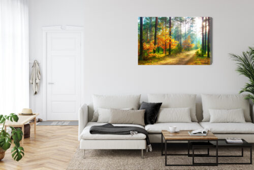 Obraz na płótnie Natura Fotografia Las jesienny  Premium Canvas - obrazek 6