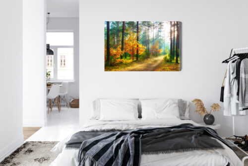 Obraz na płótnie Natura Fotografia Las jesienny  Premium Canvas - obrazek 7