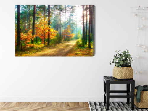 Obraz na płótnie Natura Fotografia Las jesienny  Premium Canvas - obrazek 8