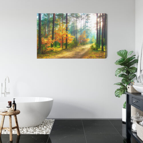 Obraz na płótnie Natura Fotografia Las jesienny  Premium Canvas - obrazek 5