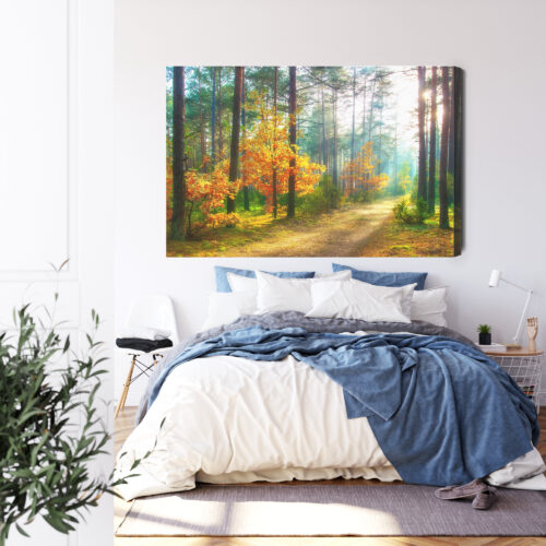 Obraz na płótnie Natura Fotografia Las jesienny  Premium Canvas - obrazek 3