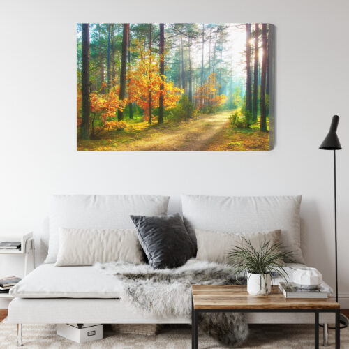Obraz na płótnie Natura Fotografia Las jesienny  Premium Canvas - obrazek 4