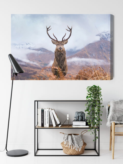 Obraz na płótnie Natura Górski jeleń  Premium Canvas - obrazek 9