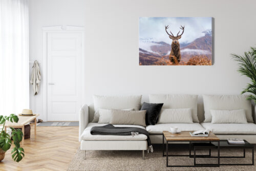 Obraz na płótnie Natura Górski jeleń  Premium Canvas - obrazek 6