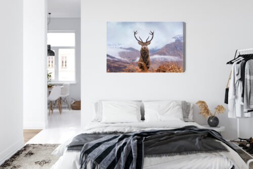 Obraz na płótnie Natura Górski jeleń  Premium Canvas - obrazek 7