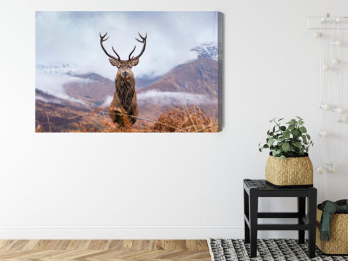 Obraz na płótnie Natura Górski jeleń  Premium Canvas - obrazek 8
