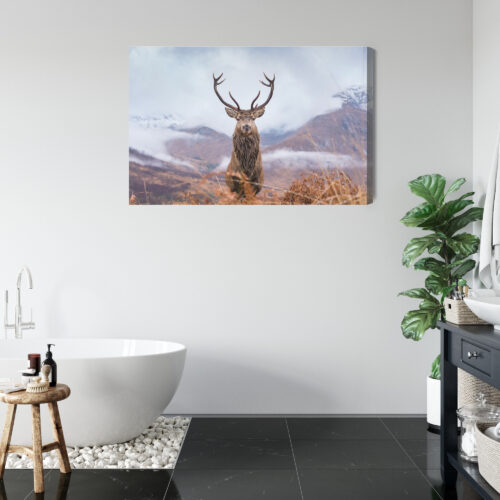 Obraz na płótnie Natura Górski jeleń  Premium Canvas - obrazek 5