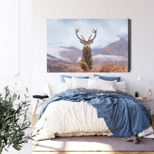 Obraz na płótnie Natura Górski jeleń  Premium Canvas - obrazek 3
