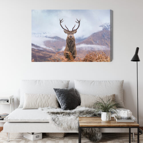 Obraz na płótnie Natura Górski jeleń  Premium Canvas - obrazek 4