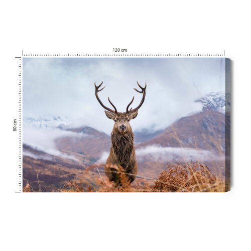 Obraz na płótnie Natura Górski jeleń  Premium Canvas