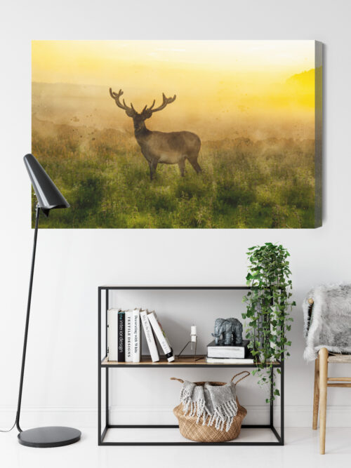 Obraz na płótnie Zwierzęta Jeleń o świcie Premium Canvas - obrazek 9