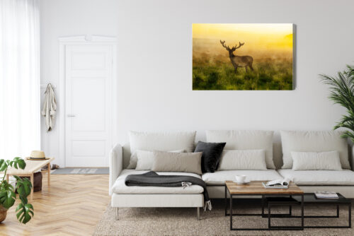 Obraz na płótnie Zwierzęta Jeleń o świcie Premium Canvas - obrazek 6