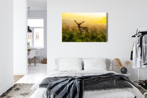 Obraz na płótnie Zwierzęta Jeleń o świcie Premium Canvas - obrazek 7