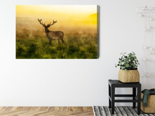 Obraz na płótnie Zwierzęta Jeleń o świcie Premium Canvas - obrazek 8