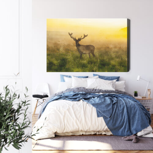 Obraz na płótnie Zwierzęta Jeleń o świcie Premium Canvas - obrazek 3