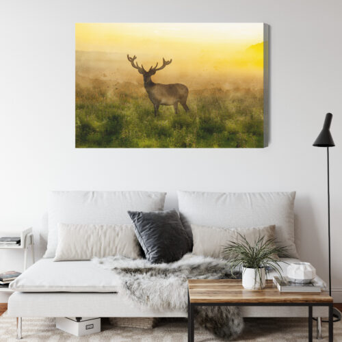 Obraz na płótnie Zwierzęta Jeleń o świcie Premium Canvas - obrazek 4