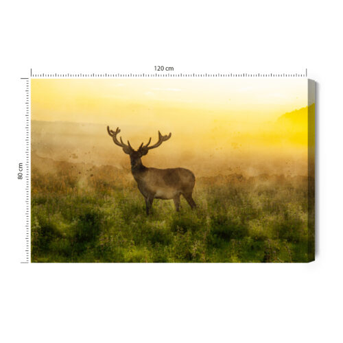 Obraz na płótnie Zwierzęta Jeleń o świcie Premium Canvas