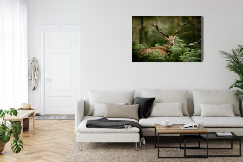 Obraz na płótnie Zwierzęta Jeleń w paprociach Premium Canvas - obrazek 6