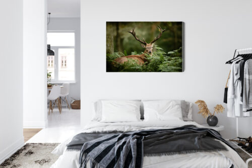 Obraz na płótnie Zwierzęta Jeleń w paprociach Premium Canvas - obrazek 7