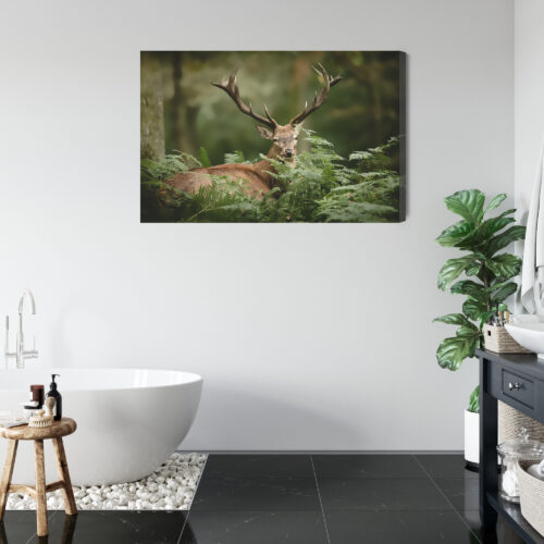 Obraz na płótnie Zwierzęta Jeleń w paprociach Premium Canvas - obrazek 5