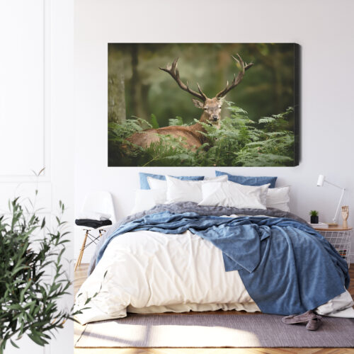 Obraz na płótnie Zwierzęta Jeleń w paprociach Premium Canvas - obrazek 3