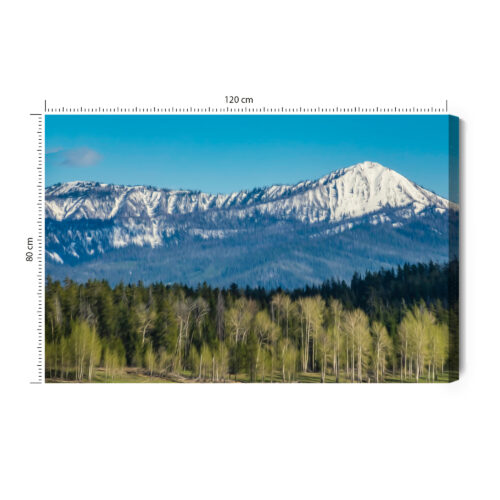 Obraz na płótnie Natura Górski pejzaż Premium Canvas