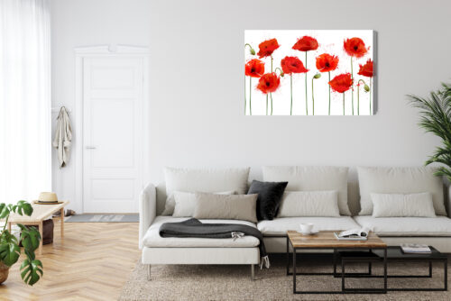 Obraz na płótnie Czerwone maki Akwarela Białe tło  Premium Canvas - obrazek 6