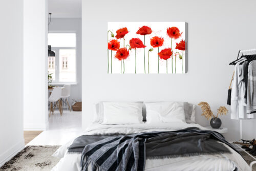 Obraz na płótnie Czerwone maki Akwarela Białe tło  Premium Canvas - obrazek 7