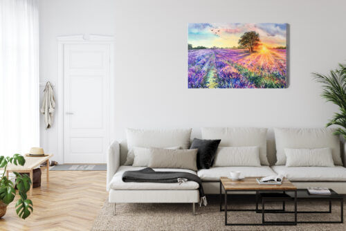 Obraz na płótnie Natura Zachód nad lawendą Premium Canvas - obrazek 6