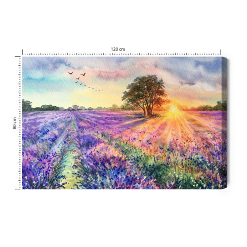 Obraz na płótnie Natura Zachód nad lawendą Premium Canvas