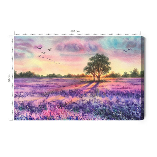 Obraz na płótnie Natura Lawendowe pole Premium Canvas