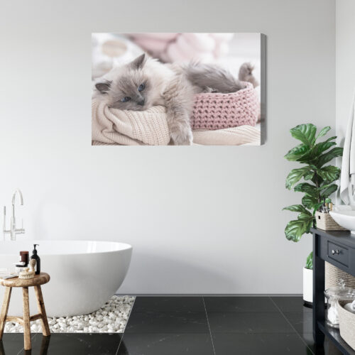 Obraz na płótnie Zwierzęta Kot w koszyku Premium Canvas - obrazek 5