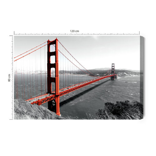 Obraz na płótnie Architektura Most Golden Gate Premium Canvas