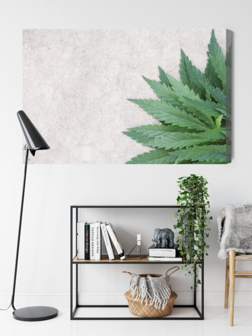 Obraz na płótnie Natura Zielone liście konopi Premium Canvas - obrazek 9