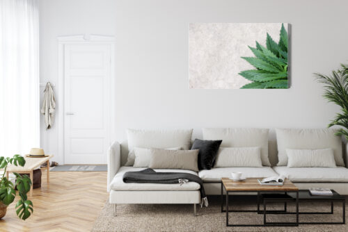 Obraz na płótnie Natura Zielone liście konopi Premium Canvas - obrazek 6