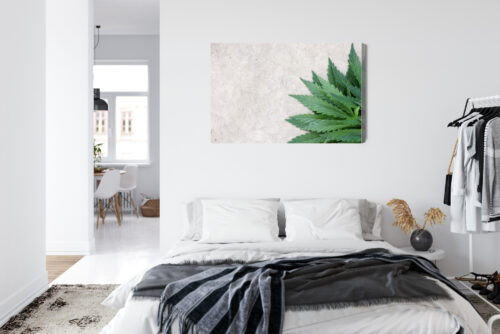 Obraz na płótnie Natura Zielone liście konopi Premium Canvas - obrazek 7