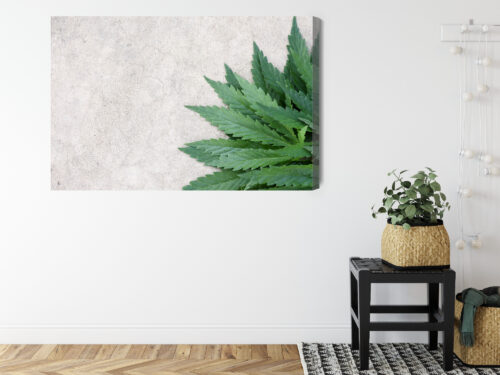 Obraz na płótnie Natura Zielone liście konopi Premium Canvas - obrazek 8