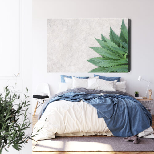 Obraz na płótnie Natura Zielone liście konopi Premium Canvas - obrazek 3