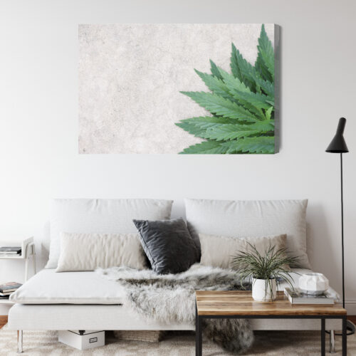 Obraz na płótnie Natura Zielone liście konopi Premium Canvas - obrazek 4