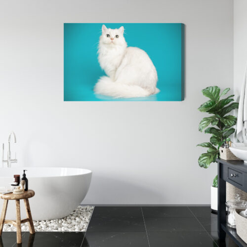Obraz na płótnie Zwierzęta Biały kot na tle turkusu Premium Canvas - obrazek 5